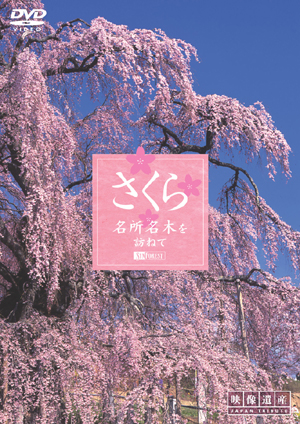 桜の名所のフリー無料画像